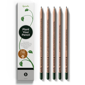 Plantable Spruce Tree Graphite Pencils - 5pk