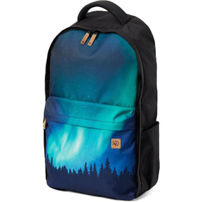Renu Lights 24L Laptop Backpack