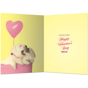 Adorable Puppy "Nom Nom" Valentine's Day Cards 4pk