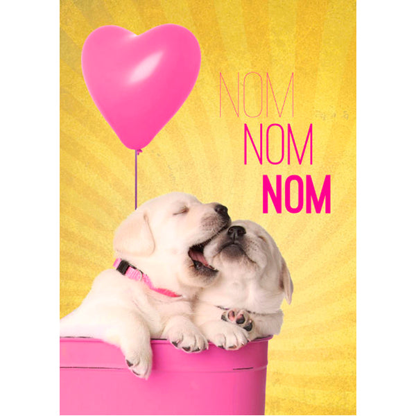 Adorable Puppy "Nom Nom" Valentine's Day Cards 4pk