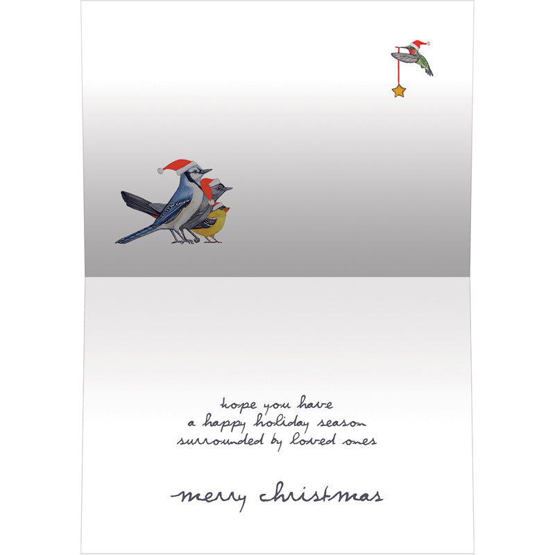 Cat Bird Christmas Cards 10pk