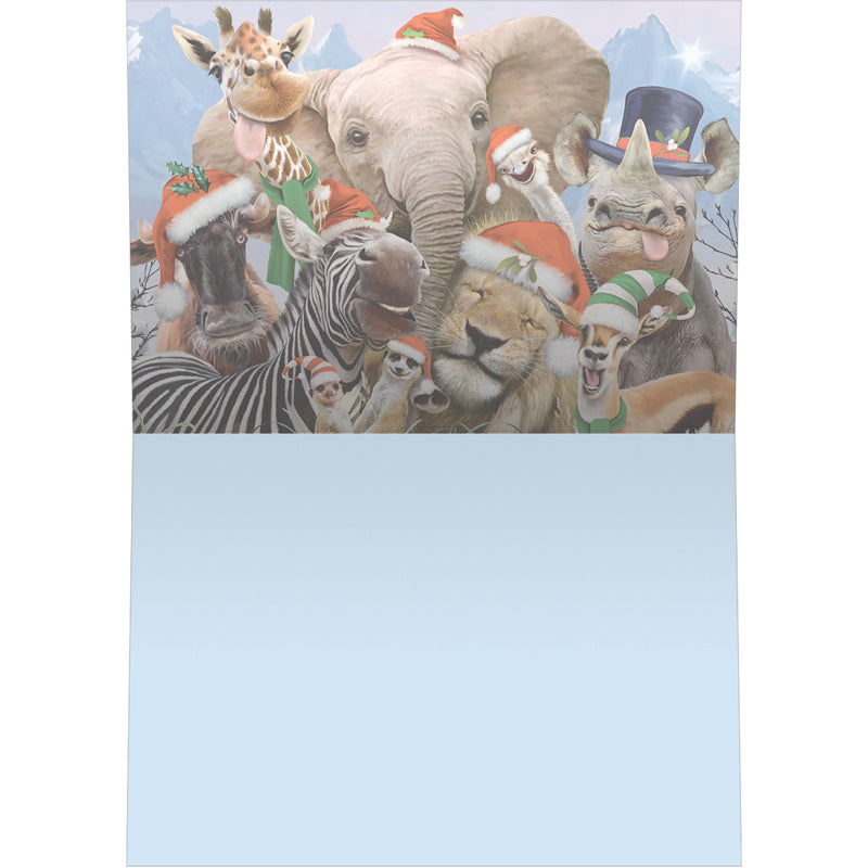 Wild and Wonderful Christmas Cards 10pk