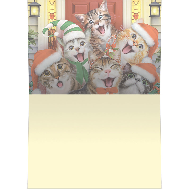 Xmas Cat Selfies Christmas Cards 10pk