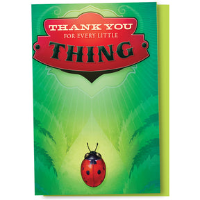 Little Ladybug Thank You Cards 12pk