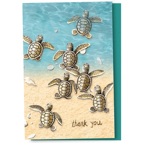 Turtles to the Sea Thank You Cards 12pk