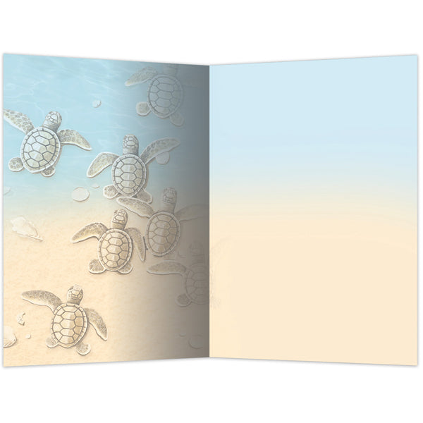 Turtles to the Sea Thank You Cards 12pk