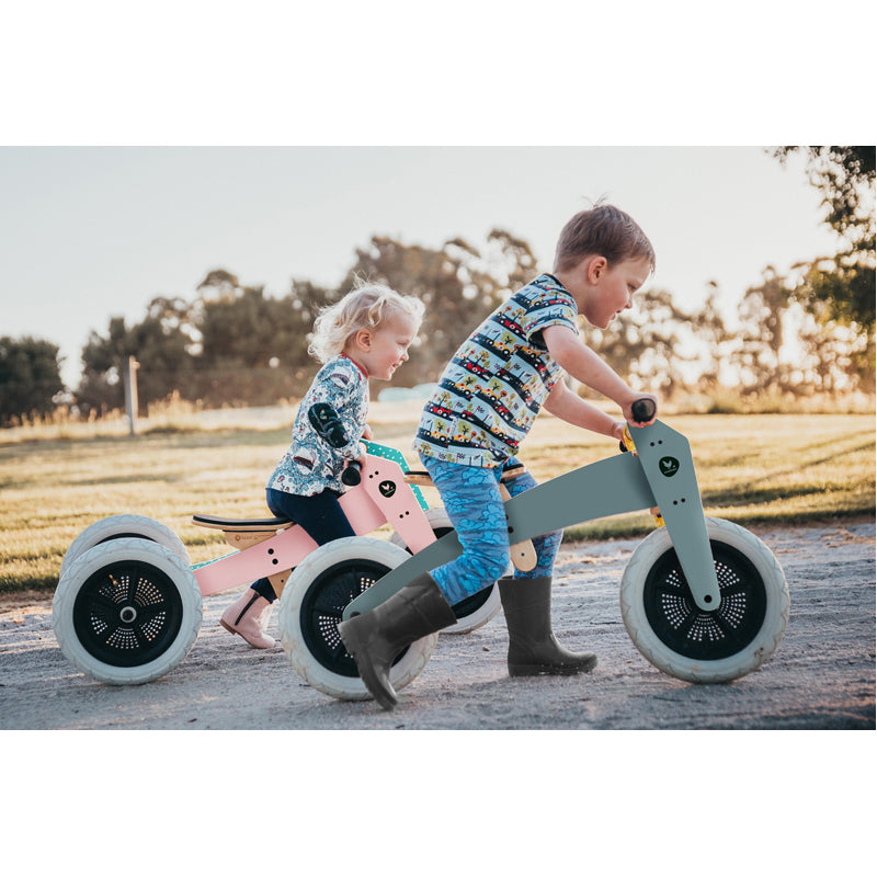 2-in-1 Toddler Bike