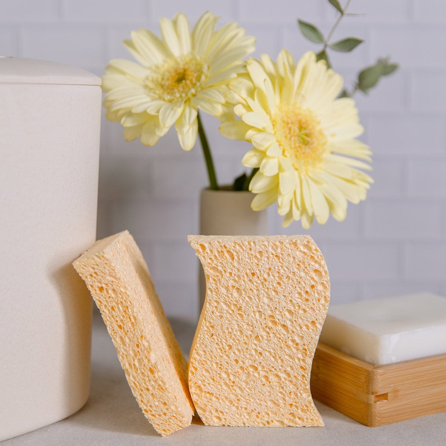 ZWS Essentials Biodegradable Kitchen Sponges EarthHero