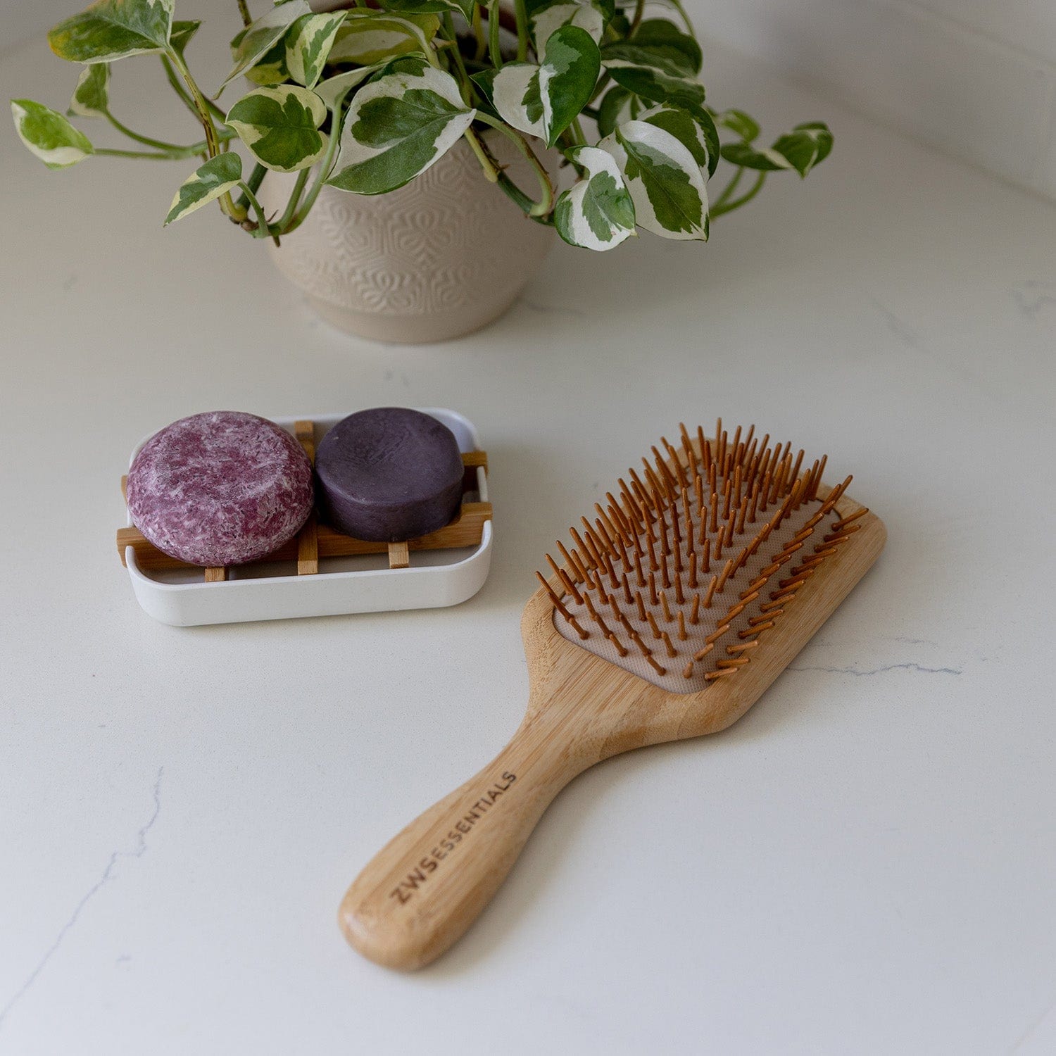 https://earthhero.com/cdn/shop/products/zws-essentials-bamboo-hairbrush-zero-waste-hair-brush-plastic-free-100-bamboo-compostable-31446009544815_1500x.jpg?v=1698264211