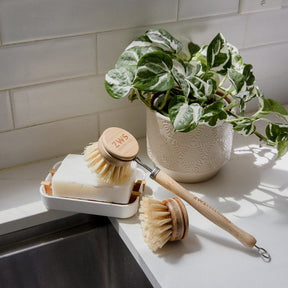 https://earthhero.com/cdn/shop/products/zws-essentials-long-handle-dish-brush-agave-dish-brush-plastic-free-replaceable-heads-32221241704559_288x.jpg?v=1698265476
